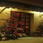 christmas-treesszépfejl2 christmas-treesszépfejl2